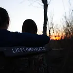 Reetmeer & Reetdach Am Salzhaff