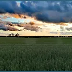 Reetmeer & Reetdach Am Salzhaff Boiensdorf