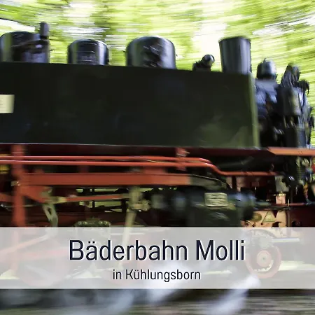 Reetmeer Ferienhaus, Und Ferienzimmer