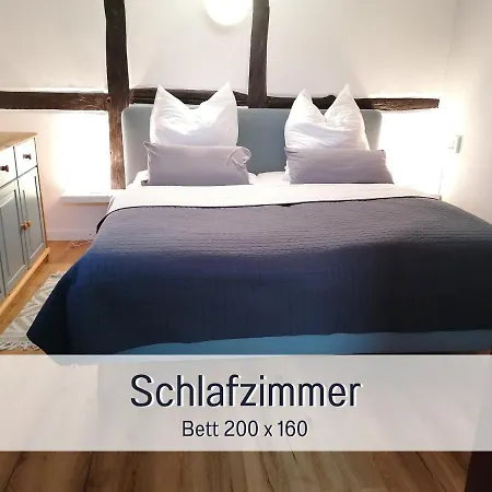 Reetmeer & Reetdach Am Salzhaff
