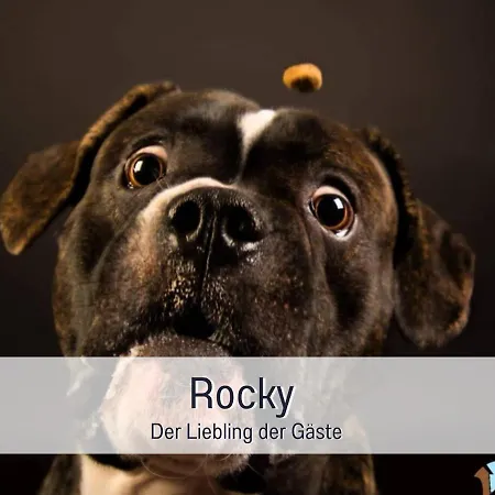 Reetmeer Ferienhaus, Und Ferienzimmer Apartment *