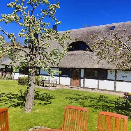 Reetmeer Ferienhaus, Und Ferienzimmer