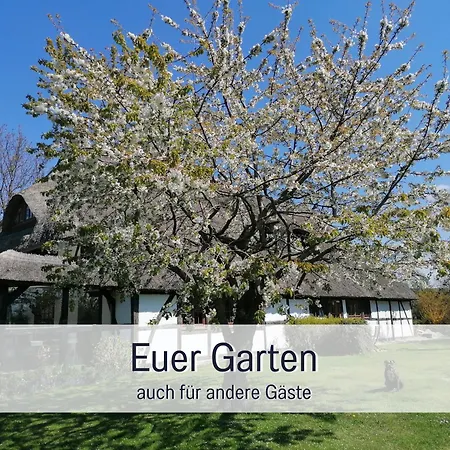 Апартаменты Reetmeer Ferienhaus, Und Ferienzimmer *