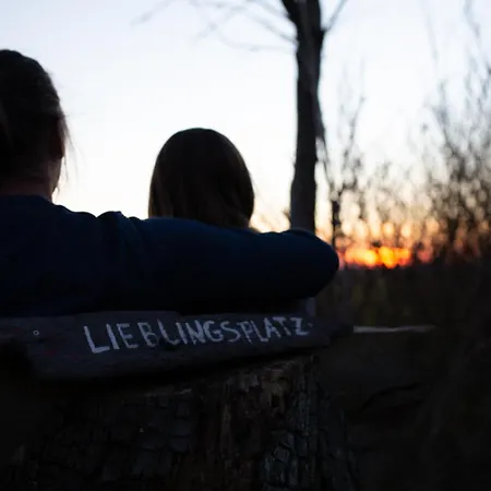 Reetmeer & Reetdach Am Salzhaff