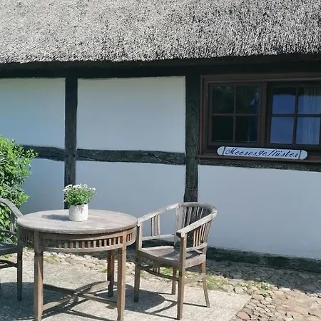 아파트 Reetmeer & Reetdach Am Salzhaff *
