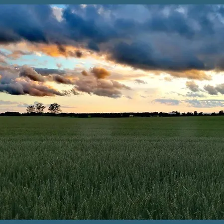 Reetmeer & Reetdach Am Salzhaff Boiensdorf