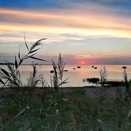 Reetmeer & Reetdach Am Salzhaff アパート