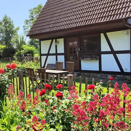 Reetmeer & Reetdach Am Salzhaff * Boiensdorf