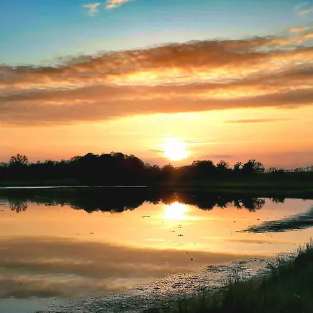 아파트 Reetmeer & Reetdach Am Salzhaff