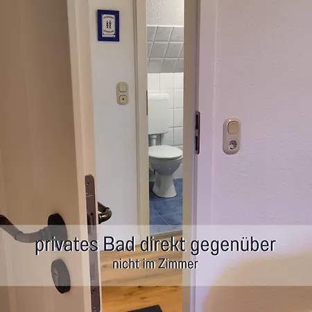 Reetmeer & Reetdach Am Salzhaff