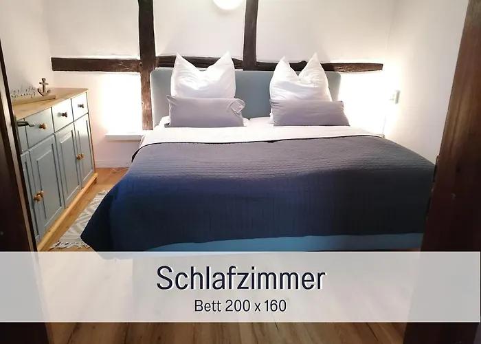 Reetmeer & Reetdach Am Salzhaff